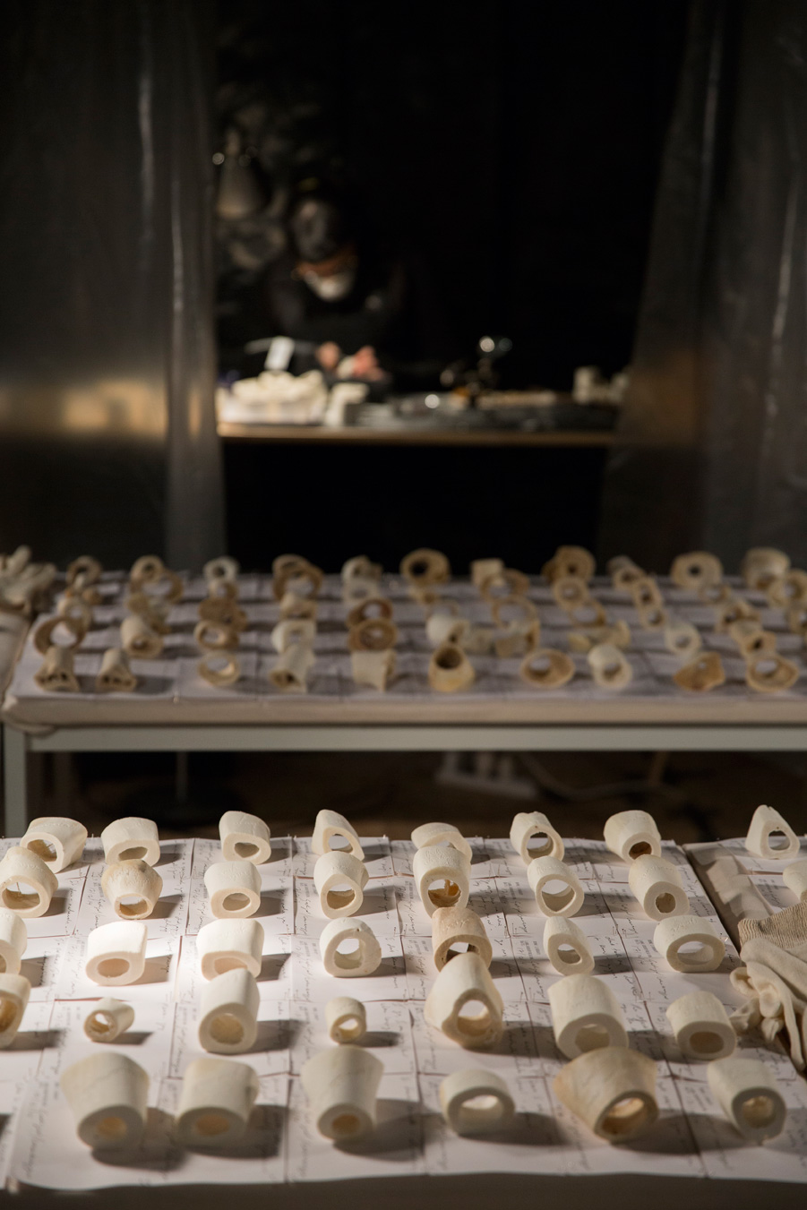 Sarah-Jane Norman, Bone Library. Venice International Performance Art Week (2014). Photograph by Monika Sobczak.